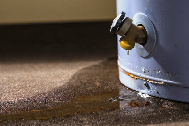 Best Mold removal after water damage  in Posen, IL