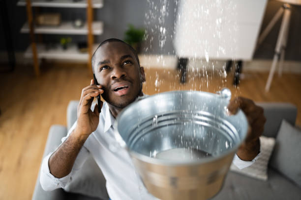 Best Flooded house restoration  in Posen, IL
