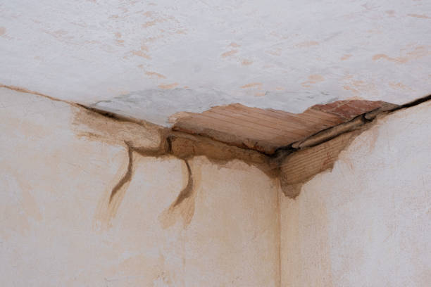 Best Water damage restoration specialists  in Posen, IL