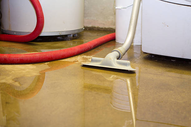 Best Commercial water damage restoration  in Posen, IL