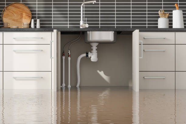 Water damage restoration mold remediation in Posen, IL